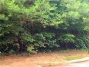 101 Bentwood Lane sold home in Pickens, SC
