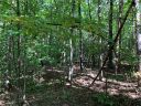Lot S The Bear Boulevard sold home in Tamassee, SC